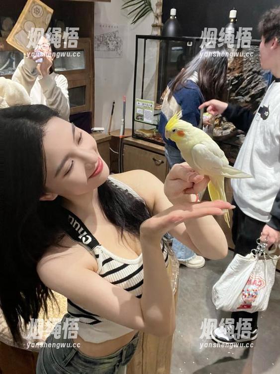吃瓜网 更新了!heiliao.su吃瓜网的“站”长又在闹哄哄的群里发八卦,来聊聊吧~