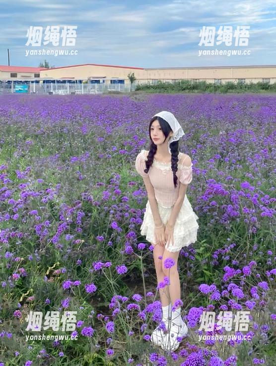 更新！吃瓜网红眨眼间就出了一条奇葩视频，真是生活的调味料。