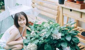 永不迷路从黑料不打烊开始,下载简单到你不敢相信!