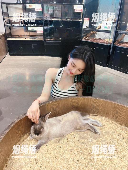 轻松下载黑料吃瓜网网址，你的饭后甜点就是一口又一口的八卦！