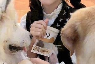 登录一试黑料正能量，结果提示“封了”，我那叫一个无语，现在的网络真让人捉摸不透！